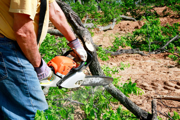 Lawn Drainage Solutions in Middletown, VA